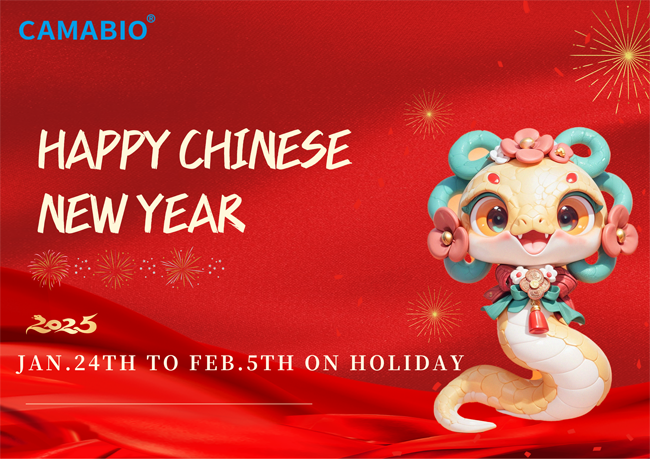 2025 Chinese New Year Holiday Notice